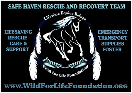 WFLF Save haven project